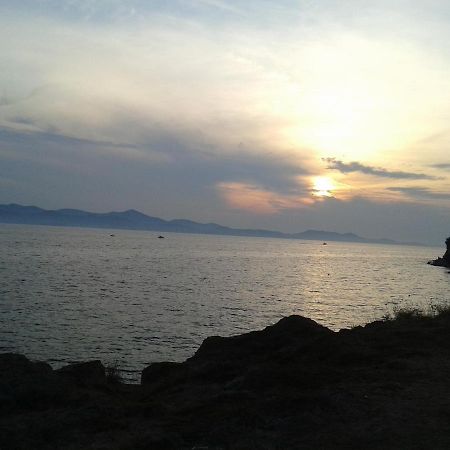 Studio Antonio New Zadar Dış mekan fotoğraf