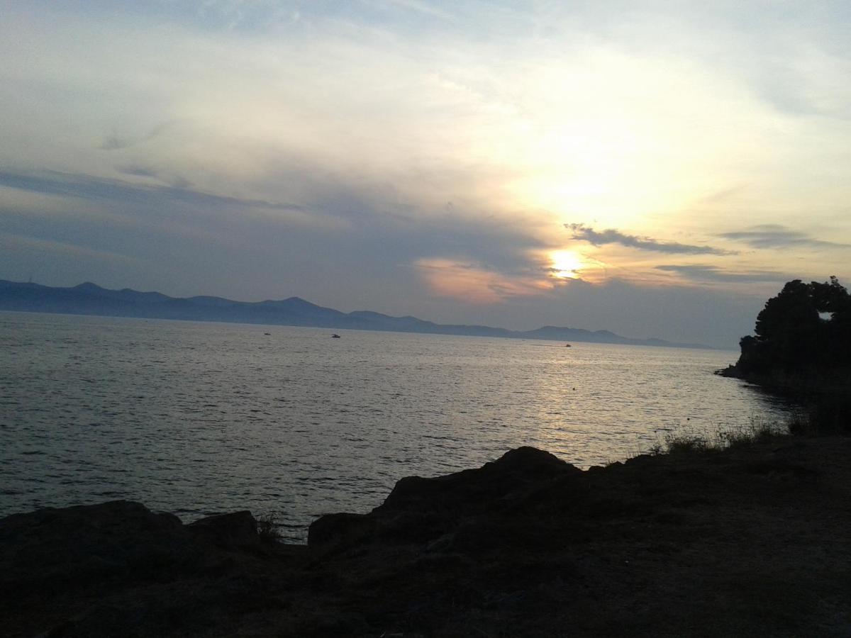 Studio Antonio New Zadar Dış mekan fotoğraf
